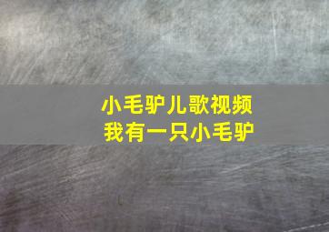 小毛驴儿歌视频 我有一只小毛驴